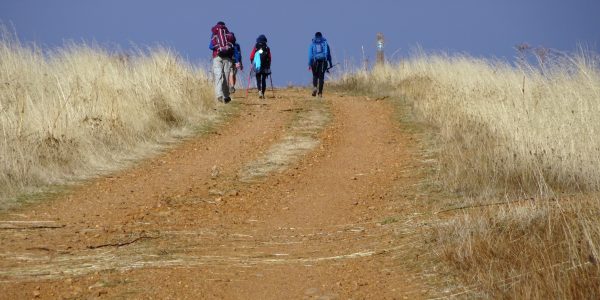 Camino 103